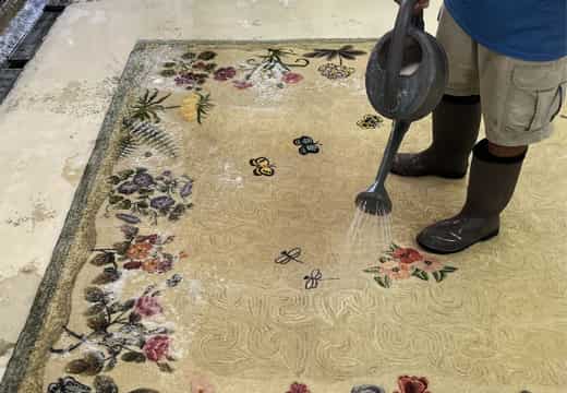 Modern Rug Cleaners Services