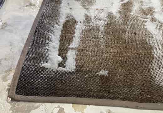 Sisal Rug Cleaning Fort Lauderdale