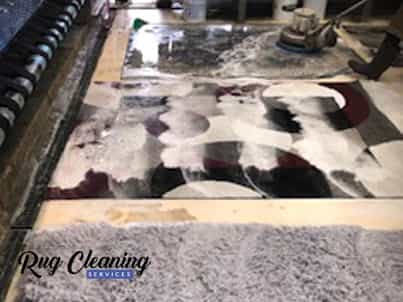 Modern Rug Cleaning