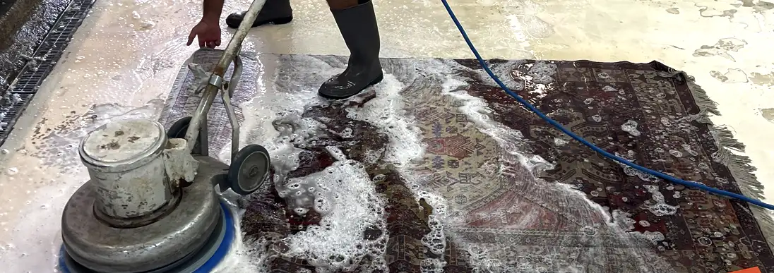 Oriental Rug Cleaning Servics Cooper City