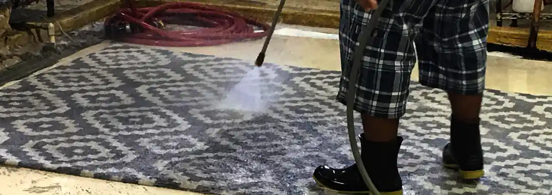 Oriental Rug Cleaning Servics Sunrise